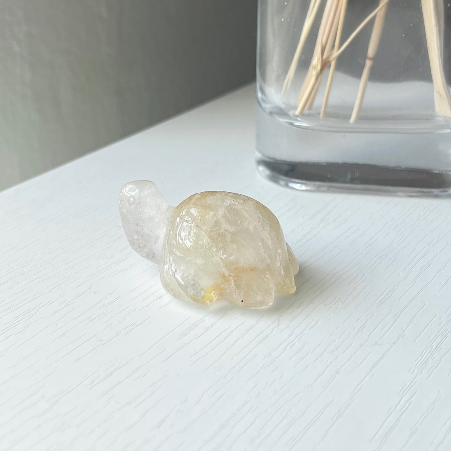 GOLDEN HEALER TURTLE