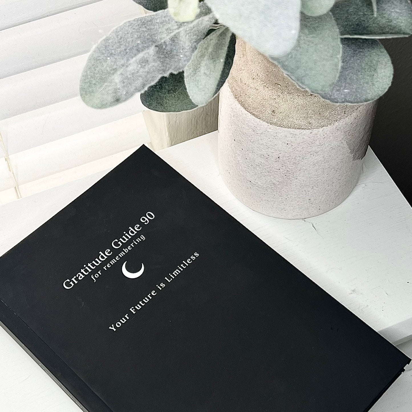 GRATITUDE GUIDE 90: FOR REMEMBERING YOUR FUTURE IS LIMITLESS