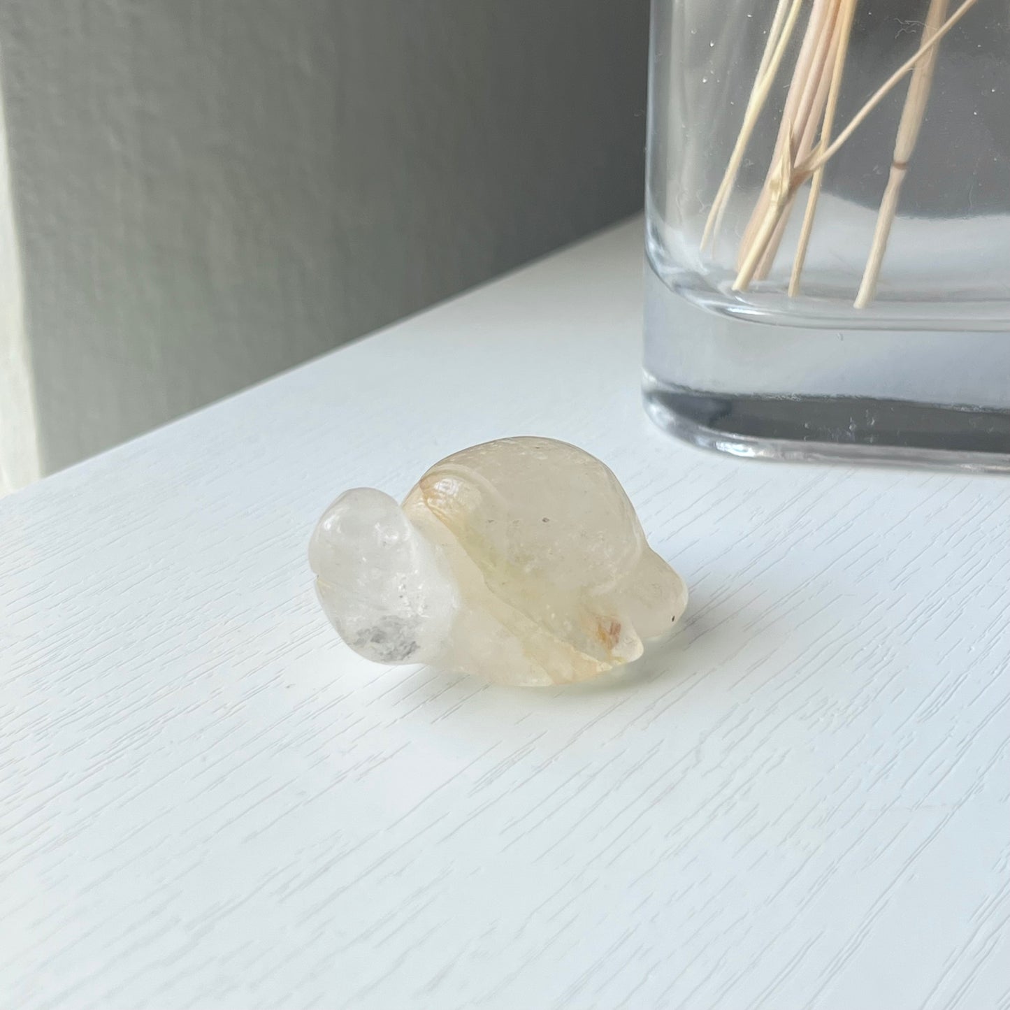 GOLDEN HEALER TURTLE