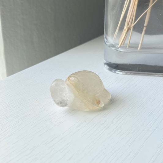 GOLDEN HEALER TURTLE